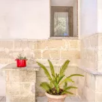 imk apt4 1