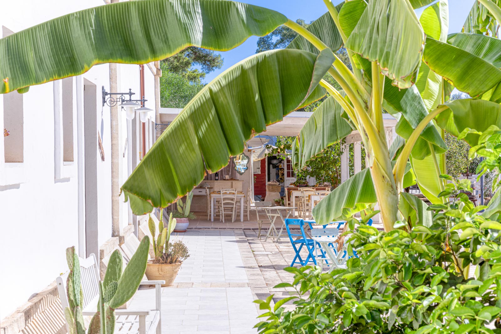 imk esterni generali 2